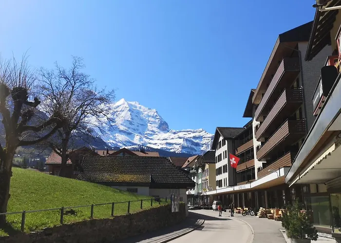 In Luxury hotels Swiss Lodge Bernerhof