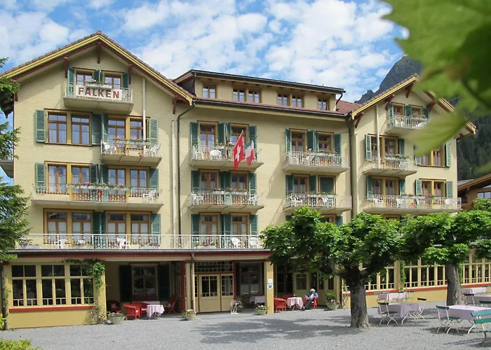 Hôtel pour familles: Historic Hotel Falken